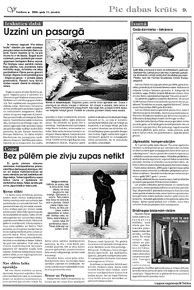 dabbbax.jpg