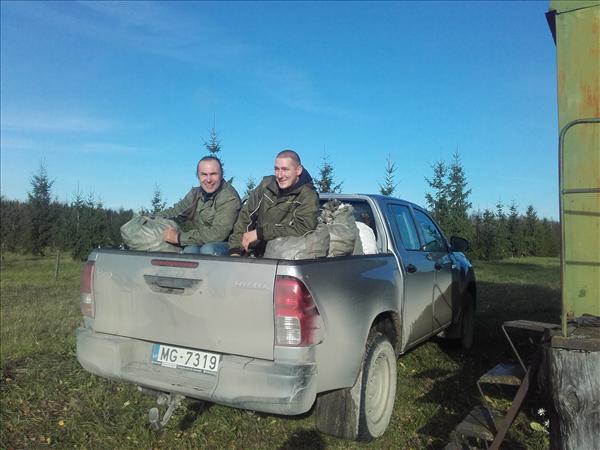 Egļu sēklu plantācijā “Vecumi” novākta lielākā čiekuru raža Latgalē