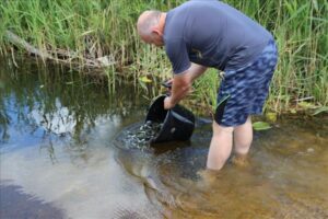 Svātūnes un Obeļovas ezeros ielaiž zivju mazuļus