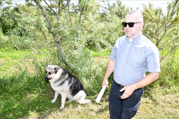 Jaunā adrese – lauki (14.07.2006.)